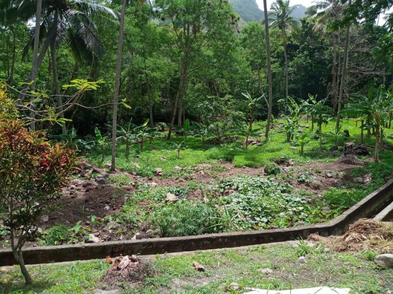 L005 – TOURISTIC LAND FOR SALE IN SOUFRIERE