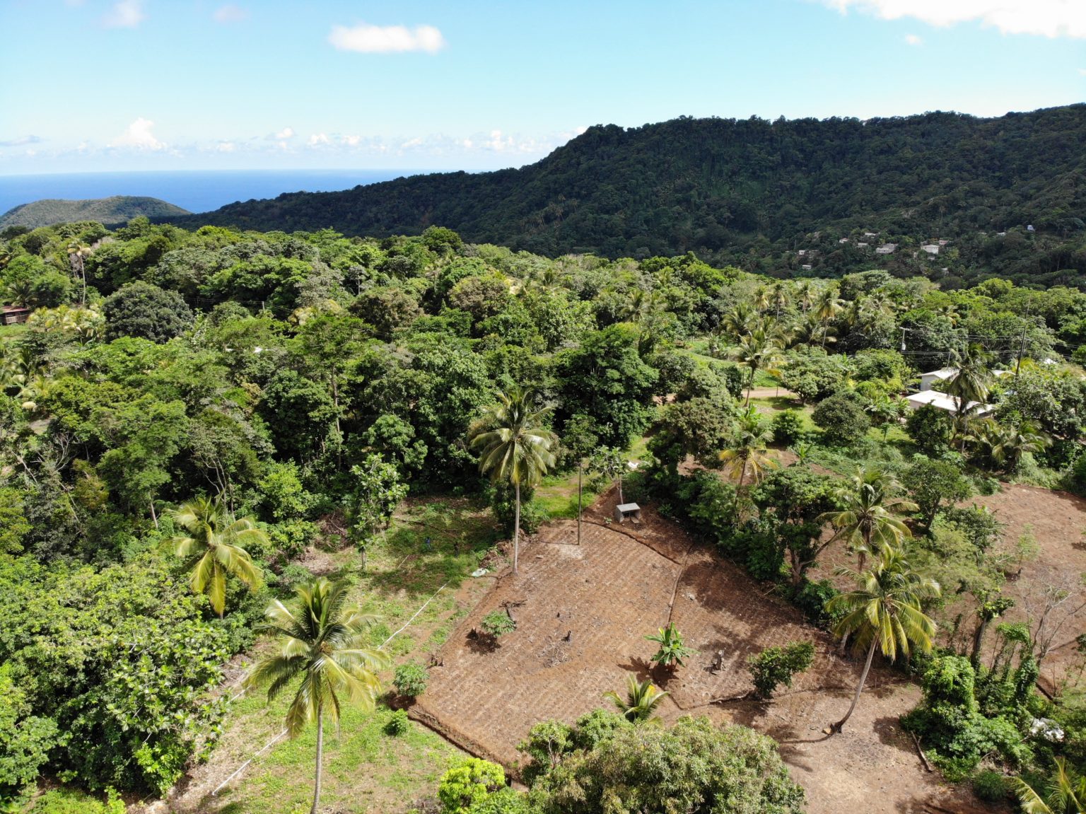 St Lucia Great Property Deals Property for Sale St Lucia