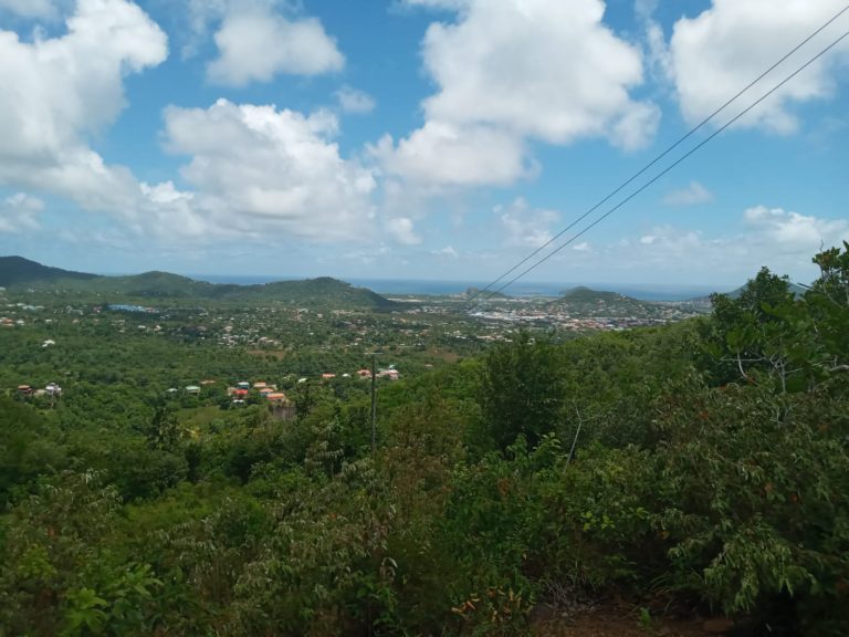 L033 – RESIDENTIAL LAND IN LABORIE
