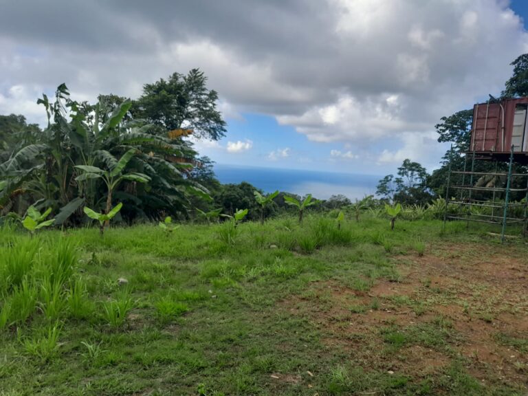L067 – RESIDENTIAL LAND FOR SALE IN MORNE LE BLANC