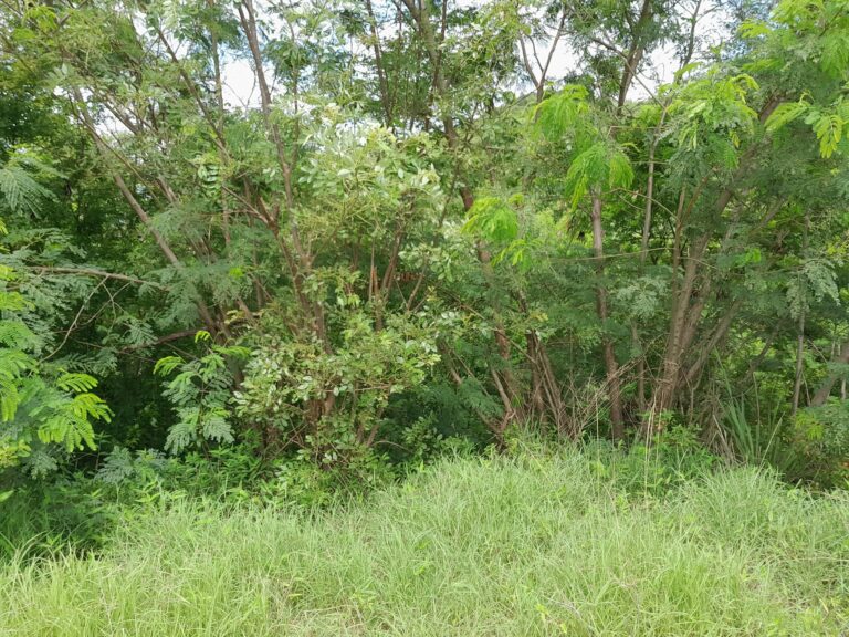 land for sale in laborie