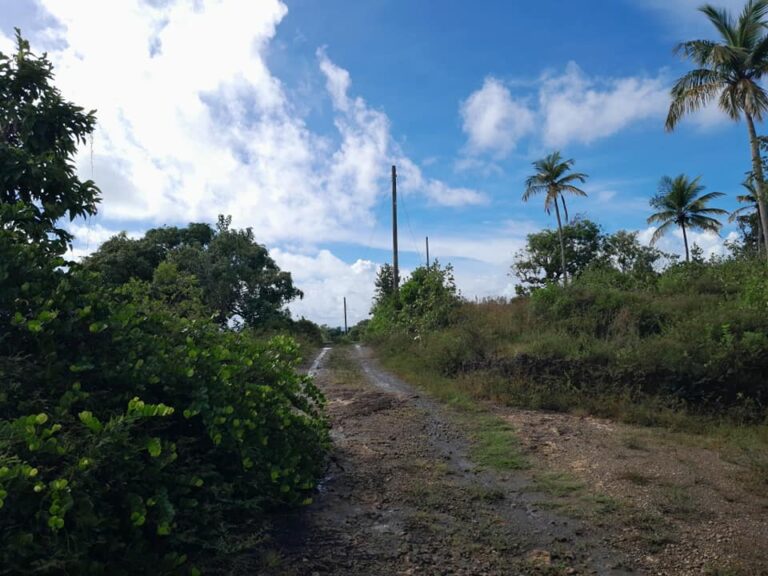 L076 – LAND FOR SALE IN VIEUX FORT