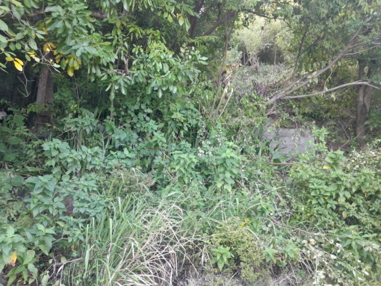 L080 – LAND FOR SALE IN BEANEFIELD, VIEUX FORT